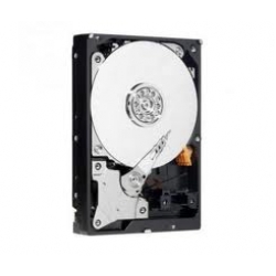 WD 1TB 7200RPM SATAII 64MB EARS